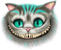 the cat